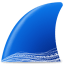 Wireshark-logo