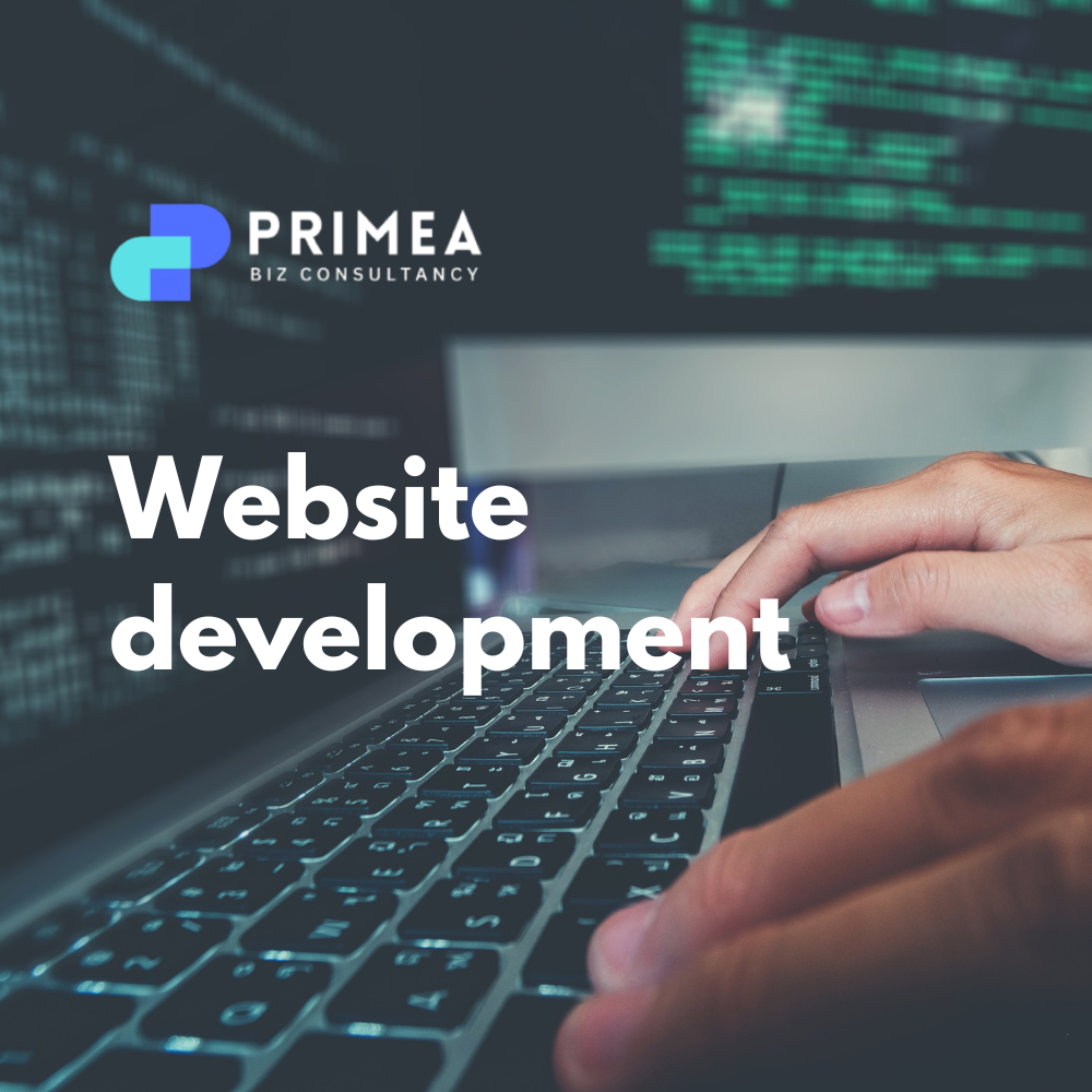 Website development